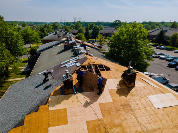 Quick and Trustworthy Emergency Roof Repair Services in Pasadena, MD