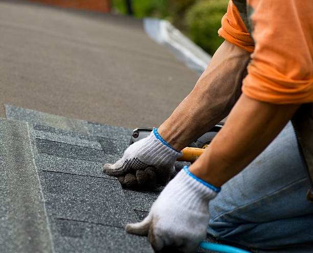 Best Roof Gutter Cleaning  in Pasadena, MD