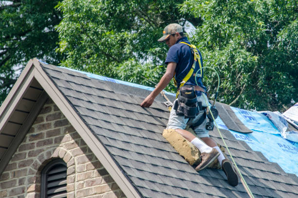 Best Shingle Roofing Installation  in Pasadena, MD